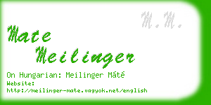 mate meilinger business card