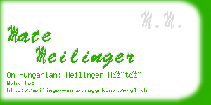 mate meilinger business card